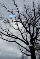 Aavaran (Hindi Edition) 1962178064 Book Cover