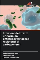 Infezioni del tratto urinario da Enterobacteriaceae resistenti ai carbapenemi (Italian Edition) 6207993497 Book Cover