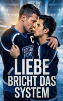Liebe bricht das System (German Edition) B0GTWFNCNR Book Cover
