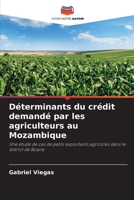 Déterminants du crédit demandé par les agriculteurs au Mozambique 6205736195 Book Cover