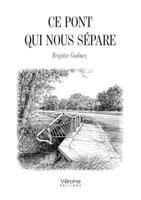 Ce pont qui nous sépare B0GVMNKNZ7 Book Cover