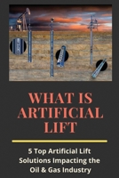 What Is Artificial Lift: 5 Top Artificial Lift Solutions Impacting the Oil & Gas Industry: What Is Hydrocarbon Accumulation? B08Y4LD2HG Book Cover