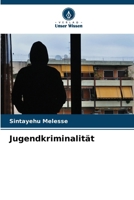 Jugendkriminalität (German Edition) 6207932889 Book Cover