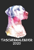 Taschenkalender 2020: Taschenkalender f�r Sept. 2019 bis Dezember 2020 A5 Terminplaner Wochenplaner Terminkalender Wochenkalender Organizer mit Rhodesian Ridgeback Hund Hunderasse 1708474021 Book Cover