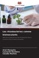 Les rhizobactéries comme bioinoculants (French Edition) 6207660609 Book Cover