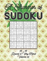 A Summer of Sudoku 16 x 16 Round 5: Very Hard Volume 19: Relaxation Sudoku Travellers Puzzle Book Vacation Games Japanese Logic Number Mathematics ... Hard Level For All Ages Kids to Adults Gifts B08VDV3ZF3 Book Cover