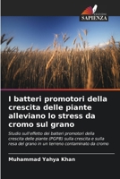 I batteri promotori della crescita delle piante alleviano lo stress da cromo sul grano (Italian Edition) 6208126126 Book Cover