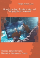 How to protect Trademarks and Copyrights on Internet.: Practical perspective and Alternative Measures to Courts. 1699462003 Book Cover