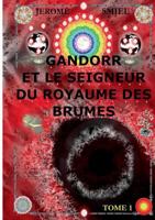 Gandorr et le Seigneur du Royaume des Brumes: Tome 1 de la Saga Gandorr 2322147508 Book Cover