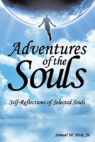 Adventures of the Souls: Self-Reflections of Selected Souls 1512753211 Book Cover