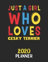 Just A Girl Who Loves Cesky Terrier 2020 Planner: Weekly Monthly 2020 Planner For Girl or Women Who Loves Cesky Terrier 1657372332 Book Cover