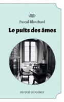 Le puit des âmes 2810611149 Book Cover