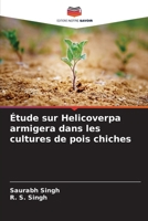 Étude sur Helicoverpa armigera dans les cultures de pois chiches (French Edition) 6208579104 Book Cover