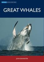 Great Whales (Australian Natural History Series) 0643093737 Book Cover