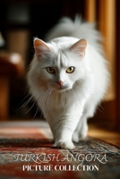 Turkish Angora Cat Photo Collection: Elegant Full-Page Pictures of Turkish Angora Cats and Kittens for All Ages (Calming Pet Books) B0GHR9GDPY Book Cover