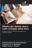 Effetto del deficit idrico sullo sviluppo della fava (Italian Edition) 6207716124 Book Cover