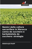 Nemici delle colture saccarifere in Marocco canna da zucchero e barbabietola da zucchero: strategia 6206191206 Book Cover