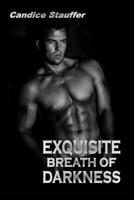 Exquisite Breath of Darkness 1500616192 Book Cover