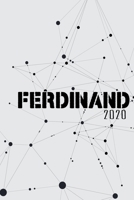 Terminkalender 2020: F�r Ferdinand personalisierter Taschenkalender und Tagesplaner ca DIN A5 376 Seiten 1 Seite pro Tag Tagebuch Wochenplaner 1677280158 Book Cover
