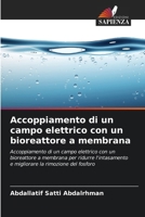 Accoppiamento di un campo elettrico con un bioreattore a membrana (Italian Edition) 6209939503 Book Cover