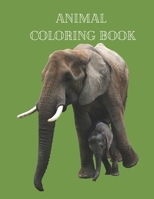 Animal Coloring Book: Actvity Coloring Pages for Kids B08L6SHN2Z Book Cover
