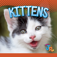 Kittens (Baby Animals) 1644660954 Book Cover