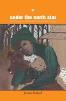 Under The North Star: The Underground Railroad in Olde Sandwich Towne 1460243242 Book Cover