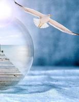 Light Bulb and Seagull Notebook 1974374068 Book Cover