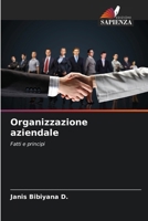 Organizzazione aziendale (Italian Edition) 6209749453 Book Cover