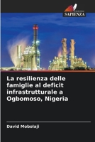 La resilienza delle famiglie al deficit infrastrutturale a Ogbomoso, Nigeria (Italian Edition) 6207768027 Book Cover