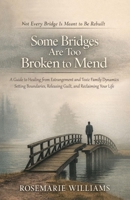 Some Bridges Are Too Broken to Mend: A Guide to Navigating Estranged Family, Unhealthy Bonds, and the Journey to Emotional Freedom. B0GJLYBNP1 Book Cover