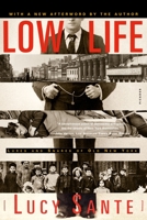 Low Life: Lures and Snares of Old New York 0374528993 Book Cover