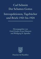 Der Schatten Gottes: Introspektionen, Tagebucher Und Briefe 1921 Bis 1924 3428143086 Book Cover
