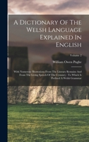 A Dictionary Of The Welsh Language Explained In English: With Numerous Illustrations From The Literary Remains And From The Living Speech Of The Cymmry: To Which Is Prefixed A Welsh Grammar; Volume 2 1018715886 Book Cover