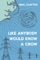 Like Anybody Would Know a Crow 1666748366 Book Cover