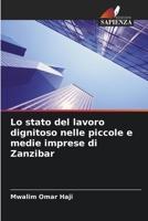 Lo stato del lavoro dignitoso nelle piccole e medie imprese di Zanzibar (Italian Edition) 6208292832 Book Cover