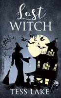 Lost Witch 1981860495 Book Cover