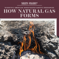 How Natural Gas Forms 1725352737 Book Cover