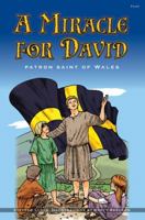 A Miracle for David - Patron Saint of Wales: Patron Saint of Wales 1848511655 Book Cover