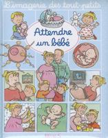 Dicionário por Imagens dos Pequeninos : O Nascimento 2215082488 Book Cover