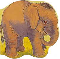 Pocket Elephant (Pocket Pals) 0859538915 Book Cover