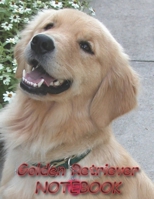 Golden Retriever NOTEBOOK: Dog Notebooks and Journals 110 pages (8.5x11) 1660455146 Book Cover