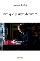 Dire que j'essaye d'écrire 2 (French Edition) 2414534117 Book Cover
