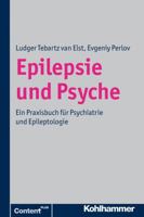 Epilepsie Und Psyche: Psychische Storungen Bei Epilepsie - Epileptische Phanomene in Der Psychiatrie 3170216880 Book Cover