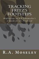 Tracking Fritz's Footsteps: Meditations on E.F. Schumacher's A Guide for the Perplexed 0957164246 Book Cover