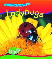 Ladybugs (Hughes, Monica. Creepy Creatures.) 141090623X Book Cover