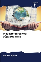 Мезологическое образование 6205926652 Book Cover