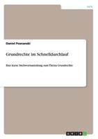 Grundrechte im Schnelldurchlauf: Eine kurze Stichwortsammlung zum Thema Grundrechte 3656180083 Book Cover