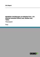 Rückblick: Strichjungen am Bahnhof Zoo - Ein Klientel zwischen Elend, Lust, Risiken und Tabus:Thesenpapier 3640969197 Book Cover