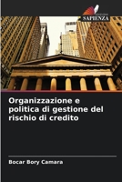 Organizzazione e politica di gestione del rischio di credito 6205973375 Book Cover